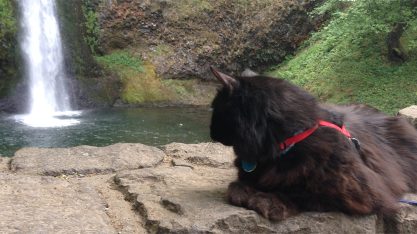 Keats at Horsetail Falls