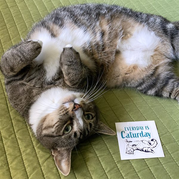 Everyday is Caturday Sticker