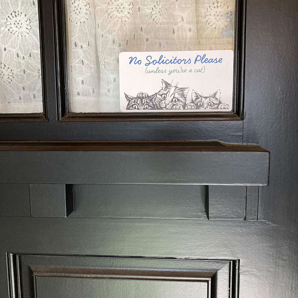 No Solicitors Please (Unless You're a Cat) Decal