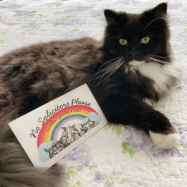 No Solicitors Please (Unless You're a Cat) Rainbow Decal