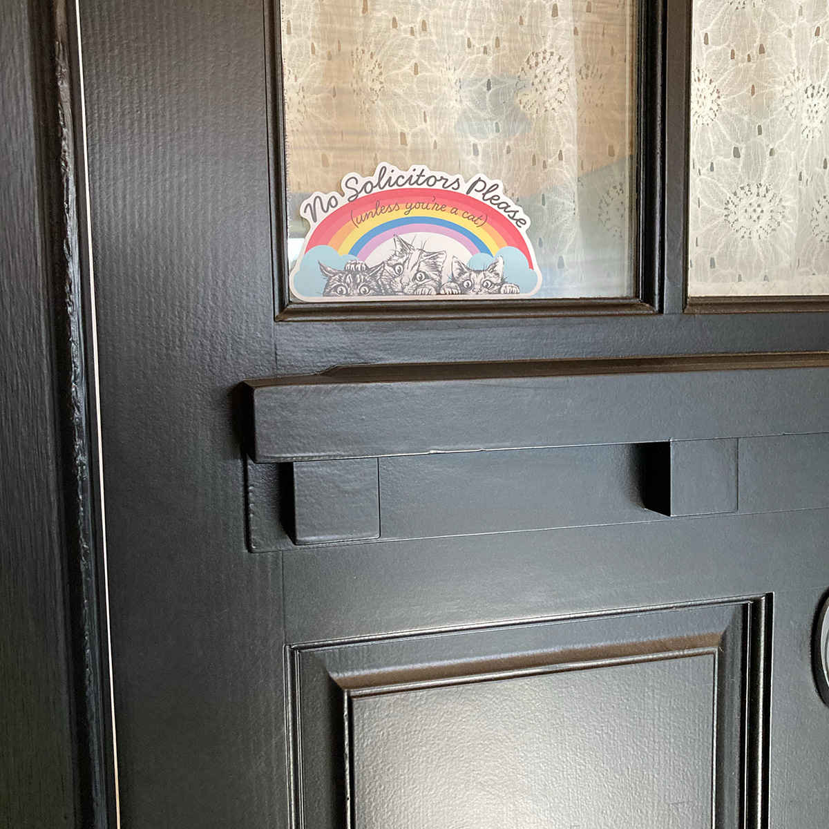 No Solicitors Please (Unless You're a Cat) Rainbow Decal