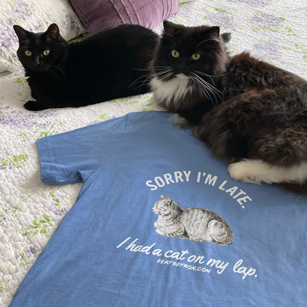 Sorry I'm Late, I Had a Cat on My Lap Tee